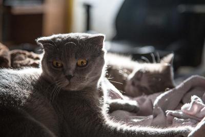 Прикрепленное изображение: GJUpi06u_Y8.jpg